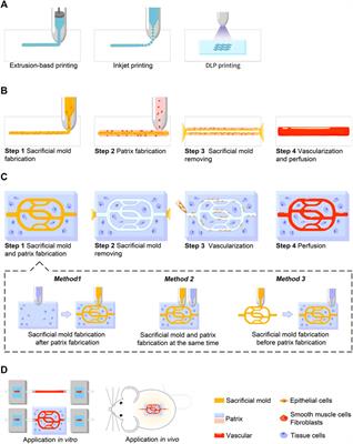 Biodegradable Inks in Indirect Three-Dimensional Bioprinting for Tissue Vascularization